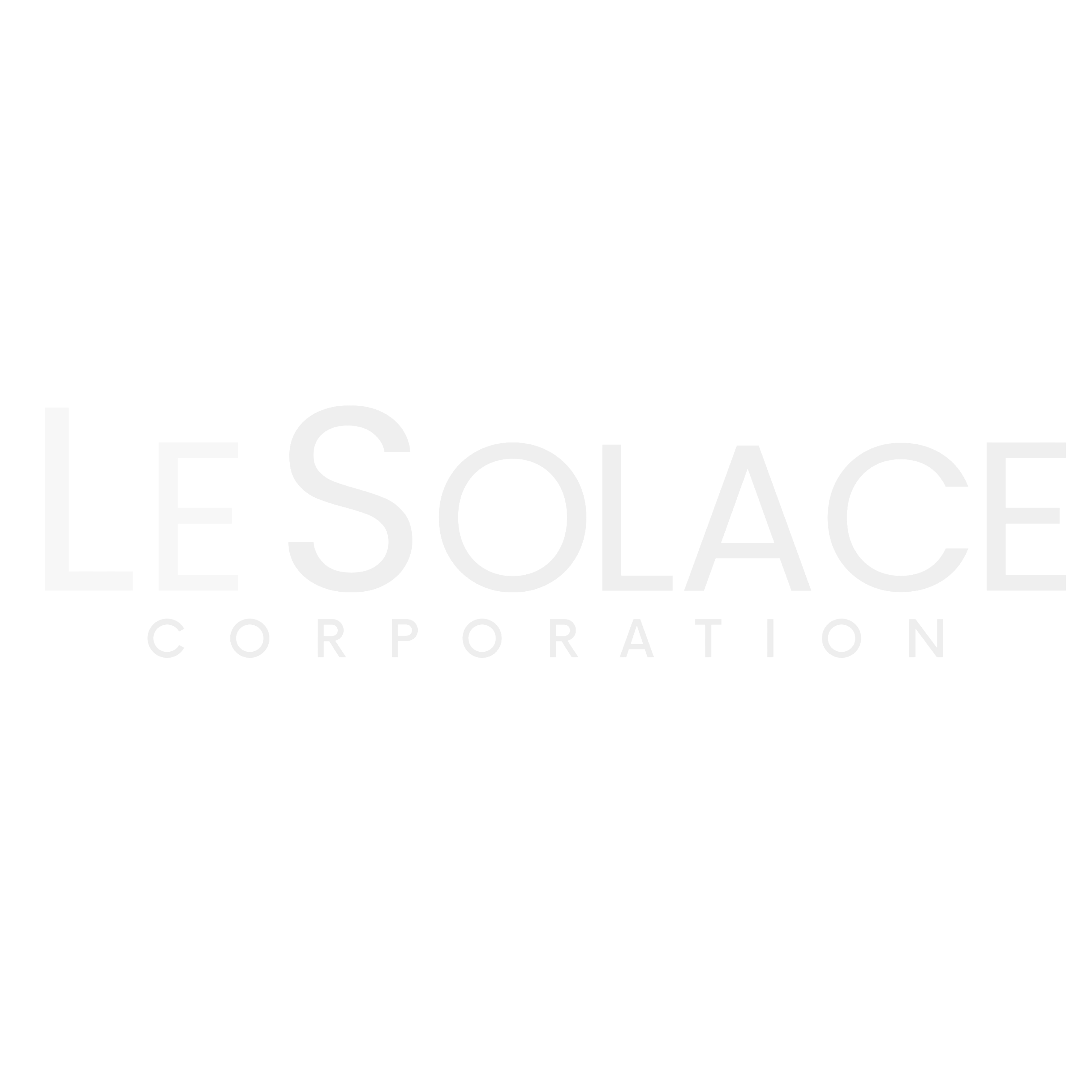 LeSolace Corporation Logo